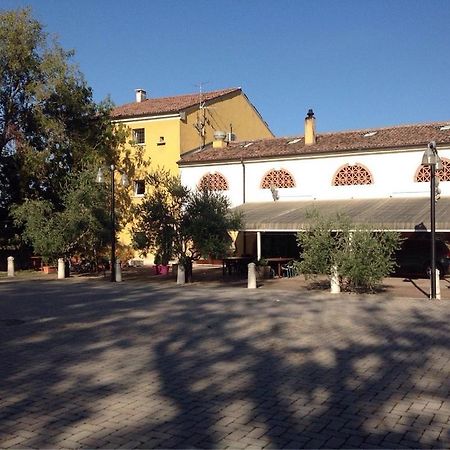 Agriturismo La Rasdora Porto Mantovano Ngoại thất bức ảnh